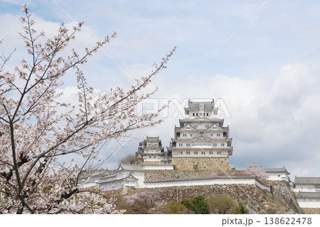 春満開の姫路城（兵庫県 姫路市） 138622478