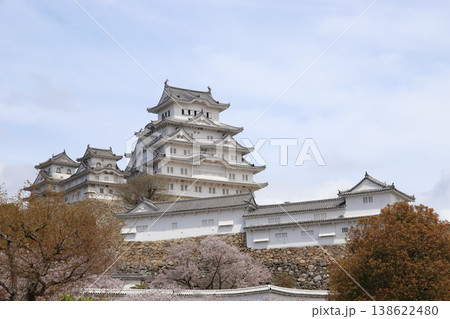 春満開の姫路城（兵庫県 姫路市） 138622480