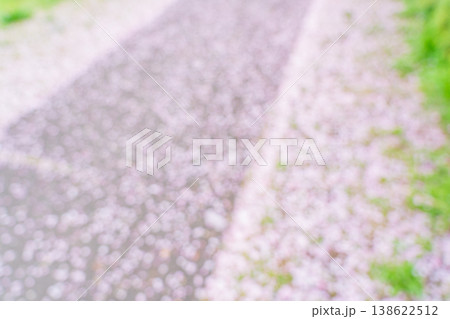 地面に散った桜の花びら 地面に散った桜の花びら 138622512