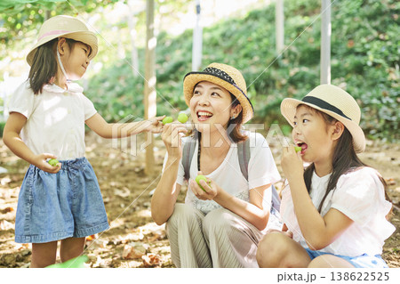 帽子をかぶってぶどうを食べる母と娘たち 帽子をかぶってぶどうを食べる母と娘たち 138622525