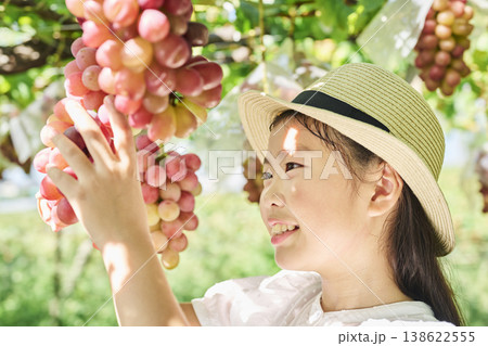 赤ぶどうの房を手に取る女の子 赤ぶどうの房を手に取る女の子 138622555