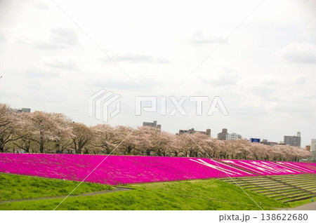 荒川赤羽桜堤緑地 荒川赤羽桜堤緑地 138622680