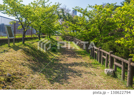 新緑の淀城跡公園　京都市伏見区　 138622794