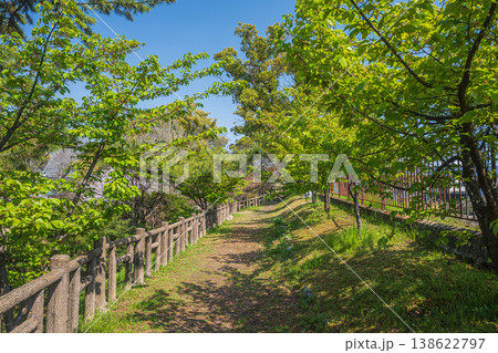 新緑の淀城跡公園 京都市伏見区 新緑の淀城跡公園 京都市伏見区 138622797