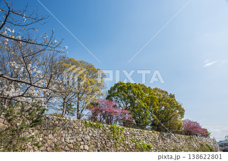 新緑の淀城跡公園　京都市伏見区　 138622801