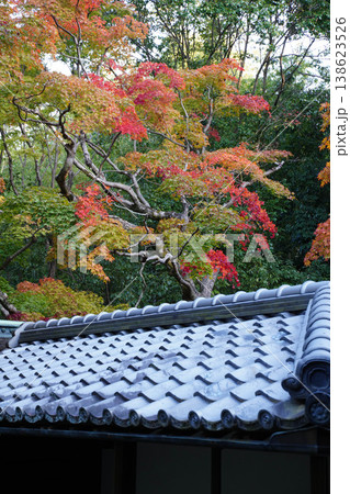 京都の寺院の境内の楓の紅葉 138623526