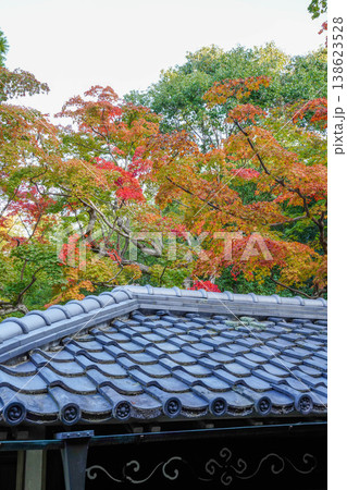 京都の寺院の境内の楓の紅葉 京都の寺院の境内の楓の紅葉 138623528