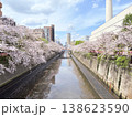 川沿いの桜並木 138623590