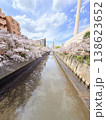 桜咲く 138623652