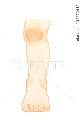 立っている子供の左足（裸足・正面）　人体・ボディパーツの手描き水彩イラスト素材 138623956