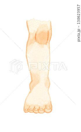 立っている子供の右足(裸足・正面) 人体・ボディパーツの手描き水彩イラスト素材 立っている子供の右足(裸足・正面) 人体・ボディパーツの手描き水彩イラスト素材 138623957