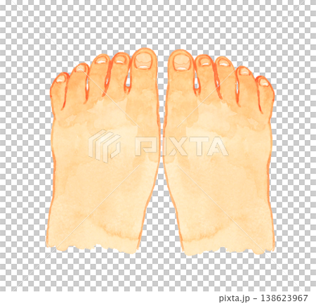 Young person's toenails (barefoot, both feet) - Hand-drawn watercolor illustration of human body parts. 138623967