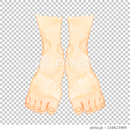 Hand-drawn watercolor illustration of a young person's bare feet (front view) - Human body parts. Hand-drawn watercolor illustration of a young person's bare feet (front view) - Human body parts. 138623969
