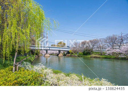 春の濠川 京都市伏見区 春の濠川 京都市伏見区 138624435