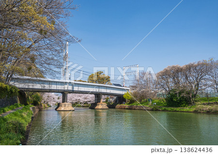春の濠川 京都市伏見区 春の濠川 京都市伏見区 138624436