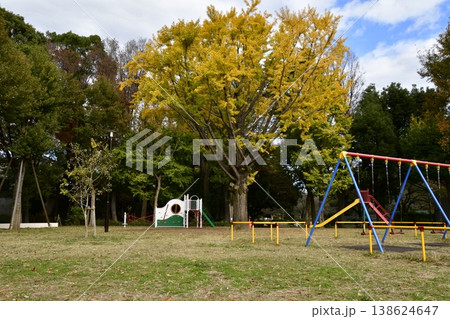 善福寺川公園 秋 広場の遊具 善福寺川公園 秋 広場の遊具 138624647