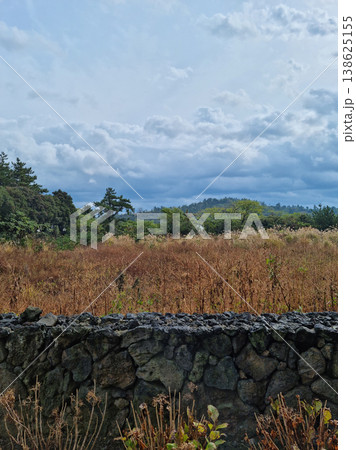 This is a grassland landscape of Jeju Island. This is a grassland landscape of Jeju Island. 138625155