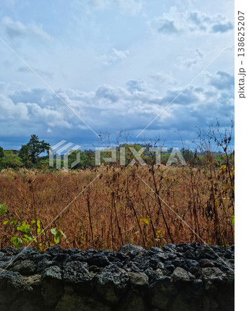 This is a grassland landscape of Jeju Island. 138625207