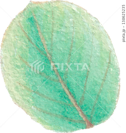 leaf watercolor greenery plant illustration botanical element leaf watercolor greenery plant illustration botanical element 138625235