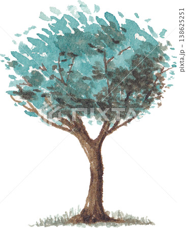Tree watercolor illustration natural botanical element 138625251