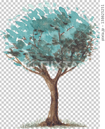 Tree watercolor illustration natural botanical element 138625251