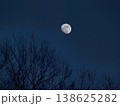 宵の空　森から昇る月 138625282