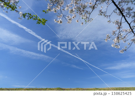 青空を斜めに横切る飛行機雲と桜の枝 青空を斜めに横切る飛行機雲と桜の枝 138625425