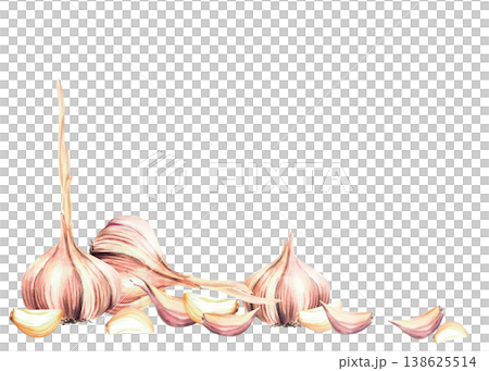 Watercolor Garlic. Plant's with stem, whole bulbs and cloves. Realistic dried vegetables frame. Hand drawn illustration isolated on white background for culinary herb, seasoning for food label, print Watercolor Garlic. Plant's with stem, whole bulbs and cloves. Realistic dried vegetables frame. Hand drawn illustration isolated on white background for culinary herb, seasoning for food label, print 138625514