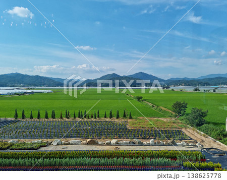 sky and rice fields sky and rice fields 138625778