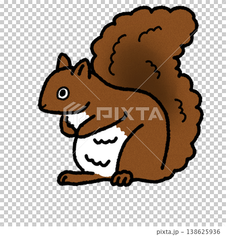 Illustration of simple squirrel Illustration of simple squirrel 138625936