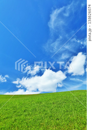 爽やかな夏の青空と新緑の草原風景 138626074
