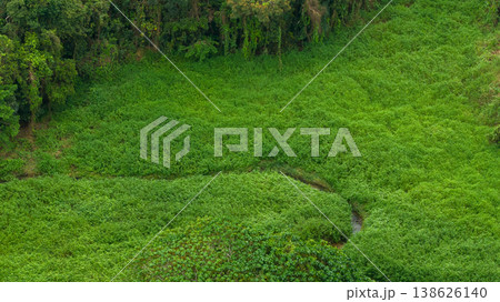 April 6 2026 Sheung Yeung Village Green Hillside Texture April 6 2026 Sheung Yeung Village Green Hillside Texture 138626140