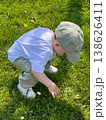 Toddler picking daisies on sunny green lawn 138626411
