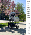 Baby stroller on park path under blooming cherry trees 138626441