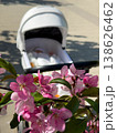 Pink cherry blossoms with baby stroller on sunny sidewalk 138626462