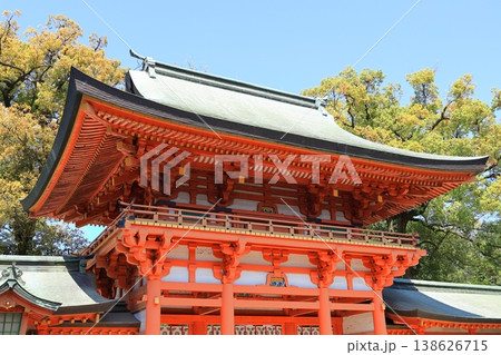 武蔵一宮氷川神社 楼門 武蔵一宮氷川神社 楼門 138626715