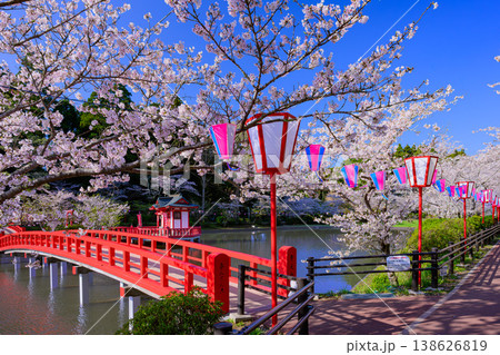 さくら名所100選 茂原公園の満開の桜と弁天湖のリフレクション 138626819