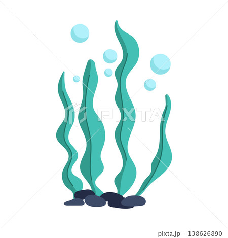 Green seaweed algae underwater plant isolated on white background 138626890