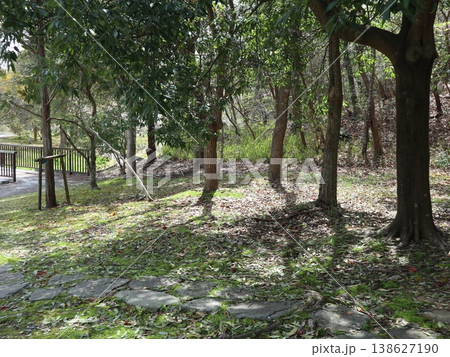 神戸市 西区 西神中央 西神中央公園 桜 他 神戸市 西区 西神中央 西神中央公園 桜 他 138627190