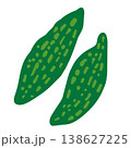ゴーヤのイラスト 138627225