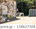 葉桜のある風景 138627308