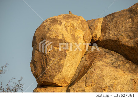 face shape rock face shape rock 138627361