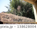 風景 138628004