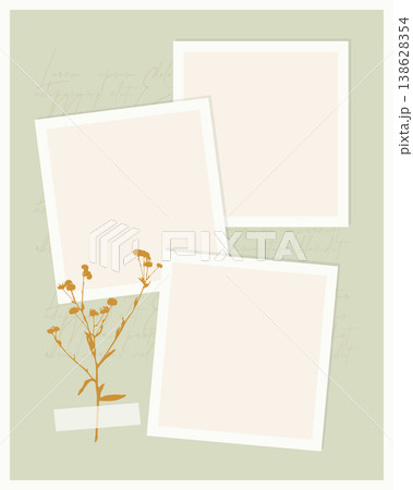 Minimalist scrapbook template with three blank photo frames, dried wildflower branch and washi tape on sage green background for social posts, moodboards and invitations. 138628354