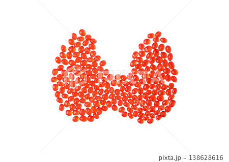 Thyroid gland isolated on white background. Medical concept of endocrine system, hormone regulation, and human health. Thyroid gland isolated on white background. Medical concept of endocrine system, hormone regulation, and human health. 138628616