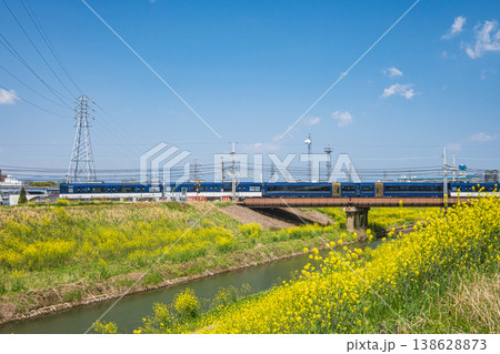 東高瀬川堤防に咲く菜の花 京都市伏見区 東高瀬川堤防に咲く菜の花 京都市伏見区 138628873
