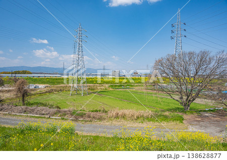 京都市伏見の田園風景 138628877