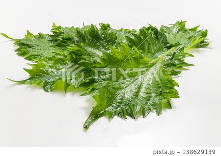 水滴がついた新鮮なセロリの葉 138629139