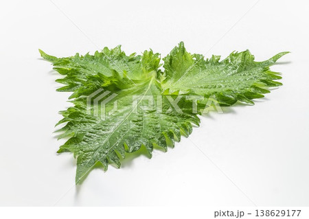新鮮なしその葉と水滴 138629177