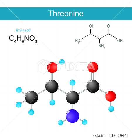 Threonine molecule. Molecular chemical structural formula and model Threonine molecule. Molecular chemical structural formula and model 138629446